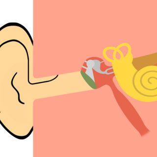 Suport pentru sistemul nervos