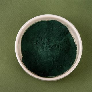 Spirulina Platensis